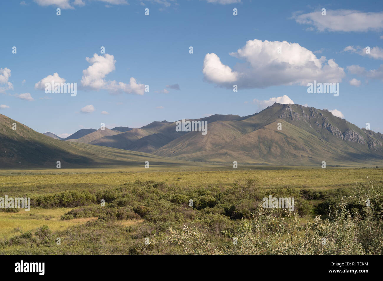 Oggetto contrassegnato per la rimozione definitiva parco territoriale, Yukon, Canada Foto Stock