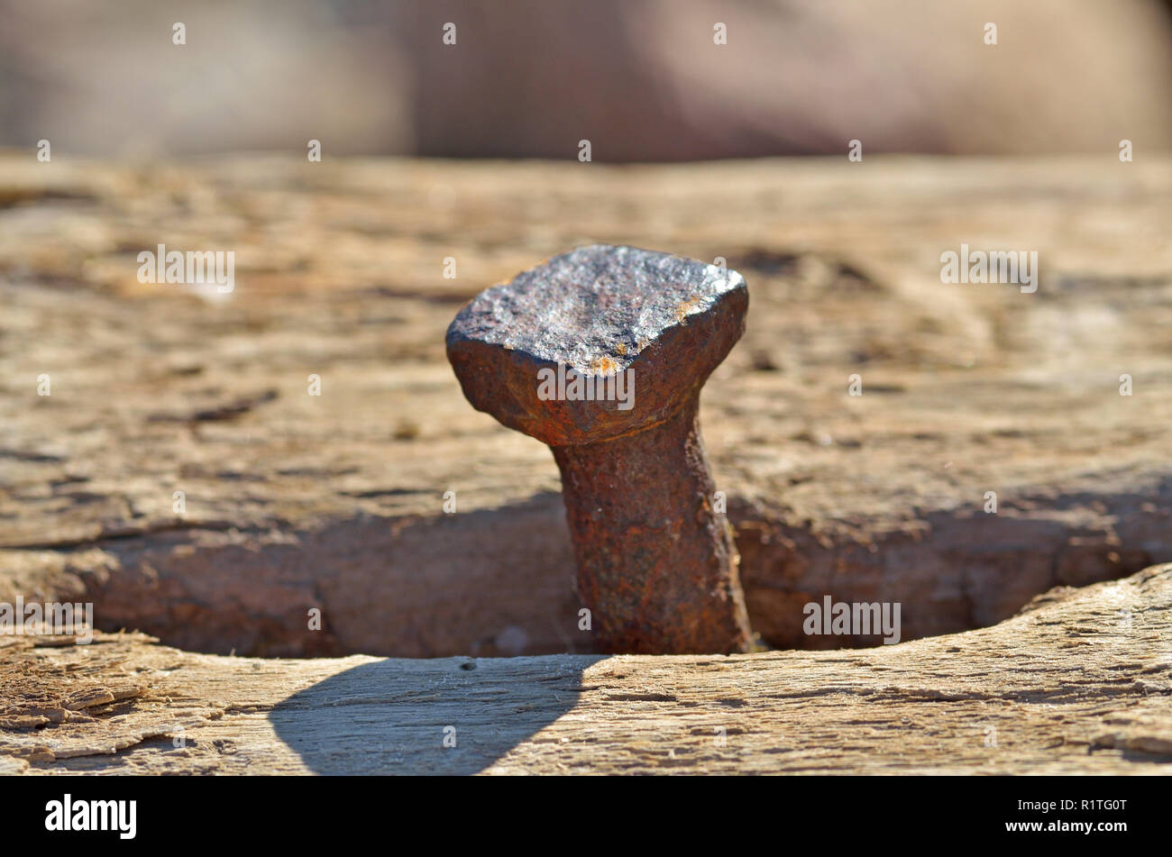 In un registro il chiodo è martellato.Tutto è arrugginita dal vecchio giorni. Foto Stock