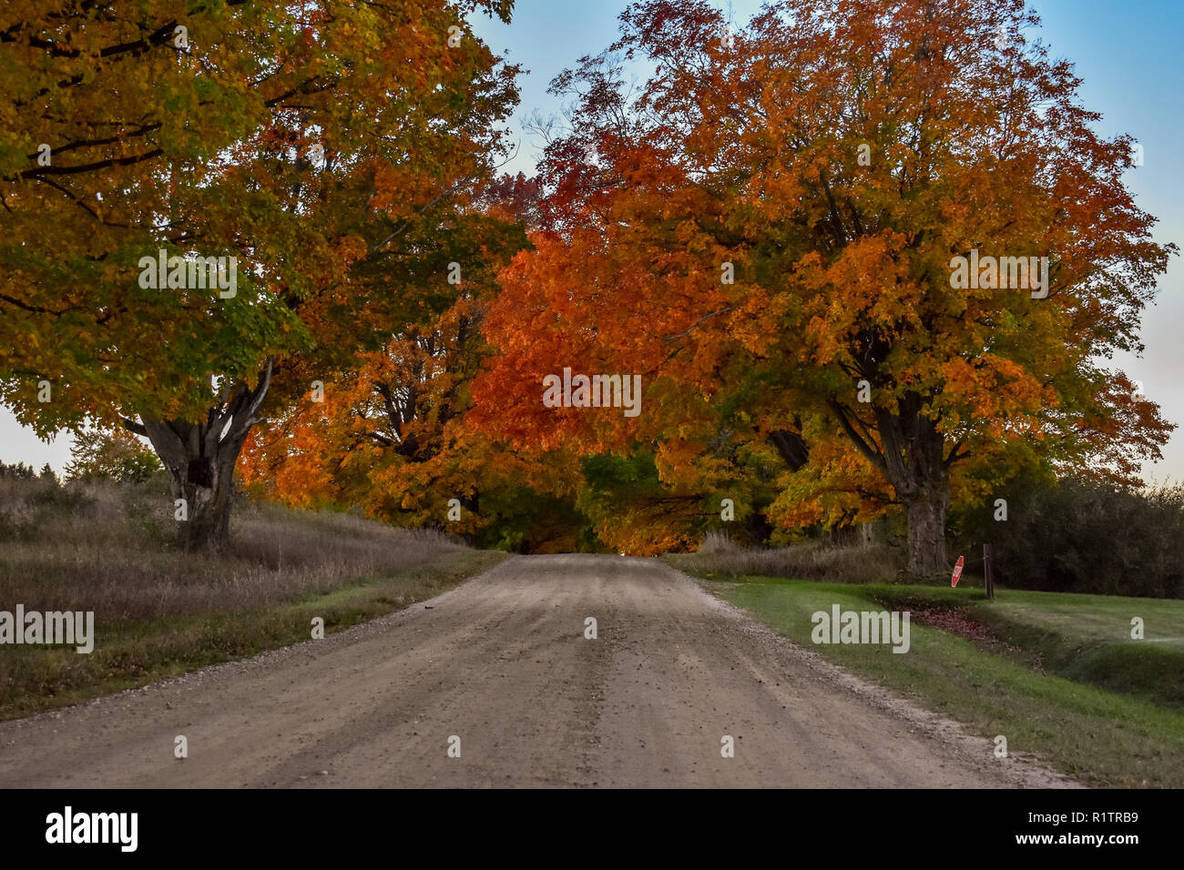 Paese rurale road, i colori dell'autunno sono state appena cominciando a mostrare in zona. Questa strada è nel mezzo di alcuni stato terreno di caccia. Prese nel mese di ottobre Foto Stock