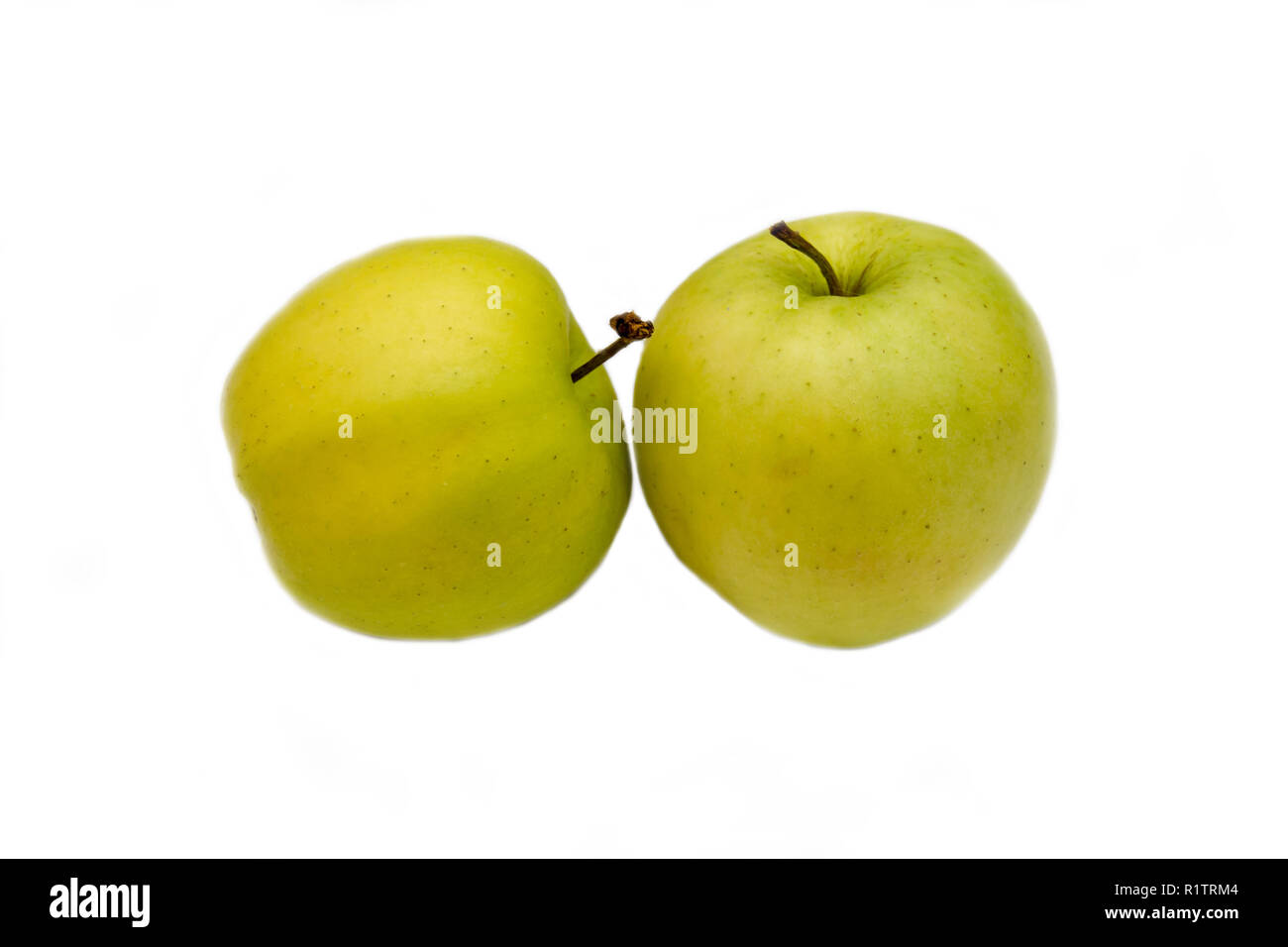 Due mele giallo su sfondo bianco Foto Stock
