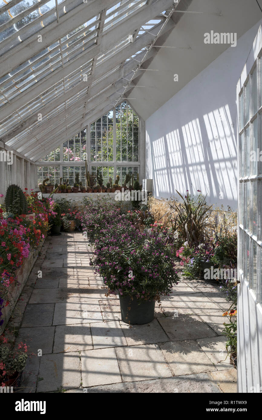 Orangerie in Candie Gardens, St Peter Port Guernsey, Isole del Canale, REGNO UNITO Foto Stock