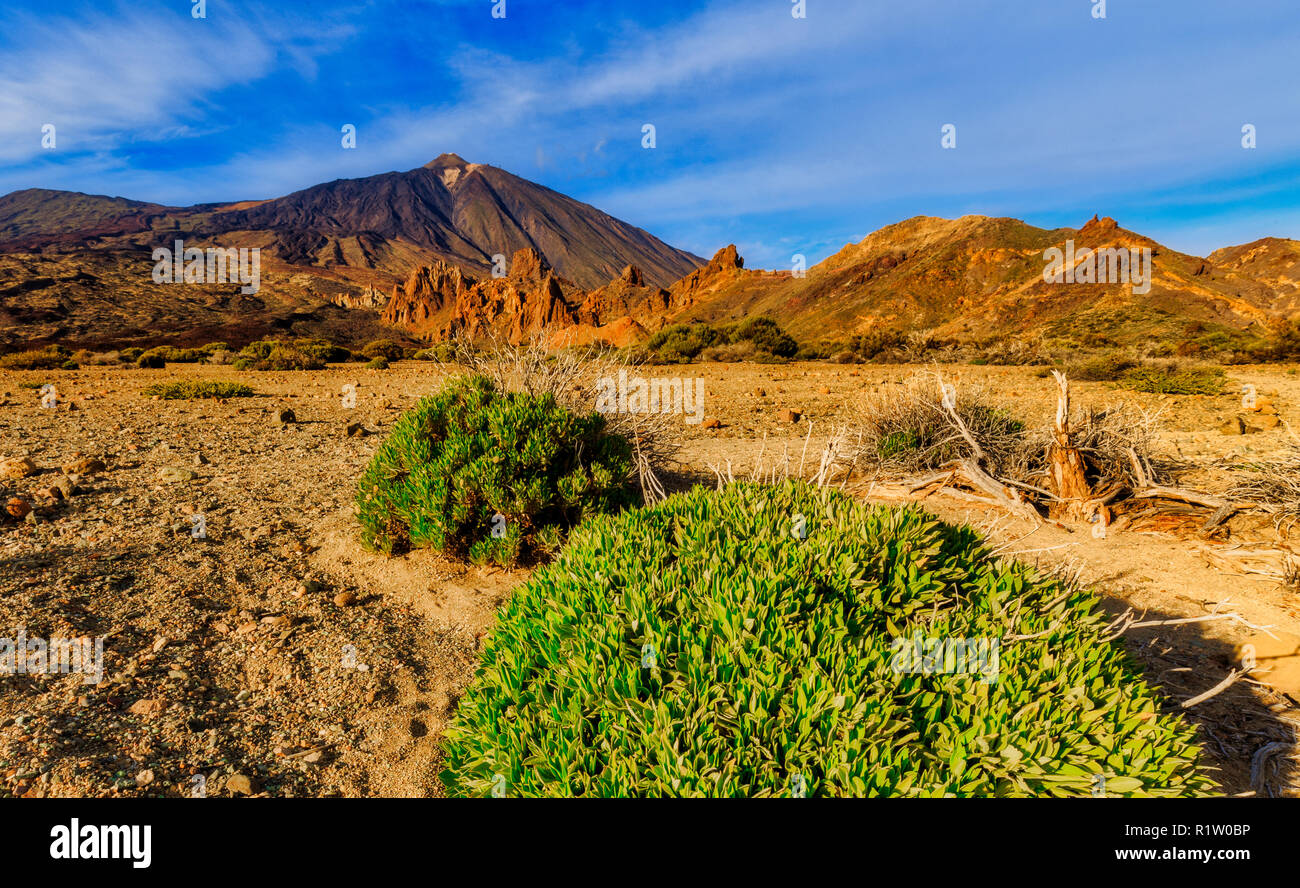 Il Teide,Tenerife Foto Stock