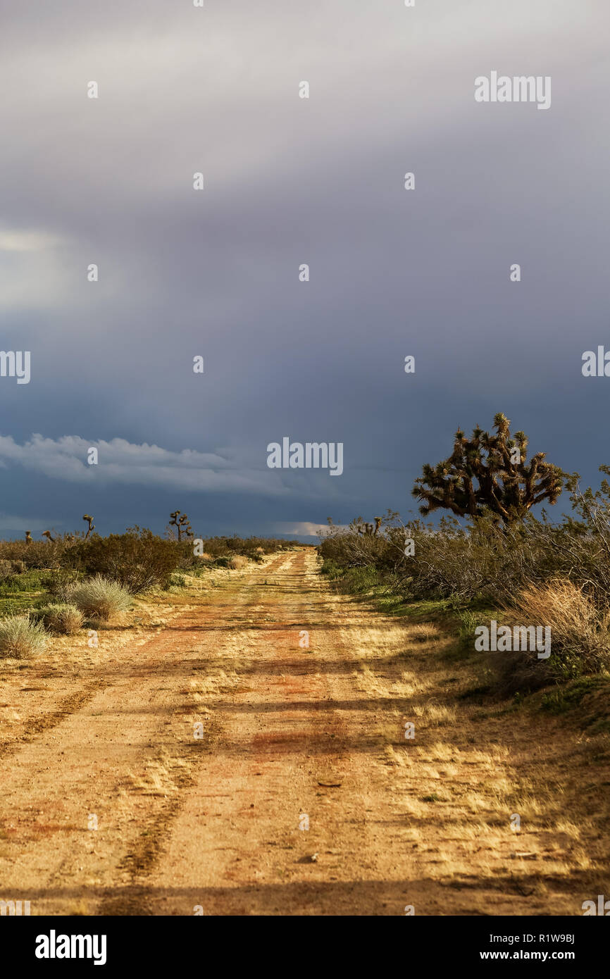 Strada sterrata nel deserto di Mojave california Foto Stock