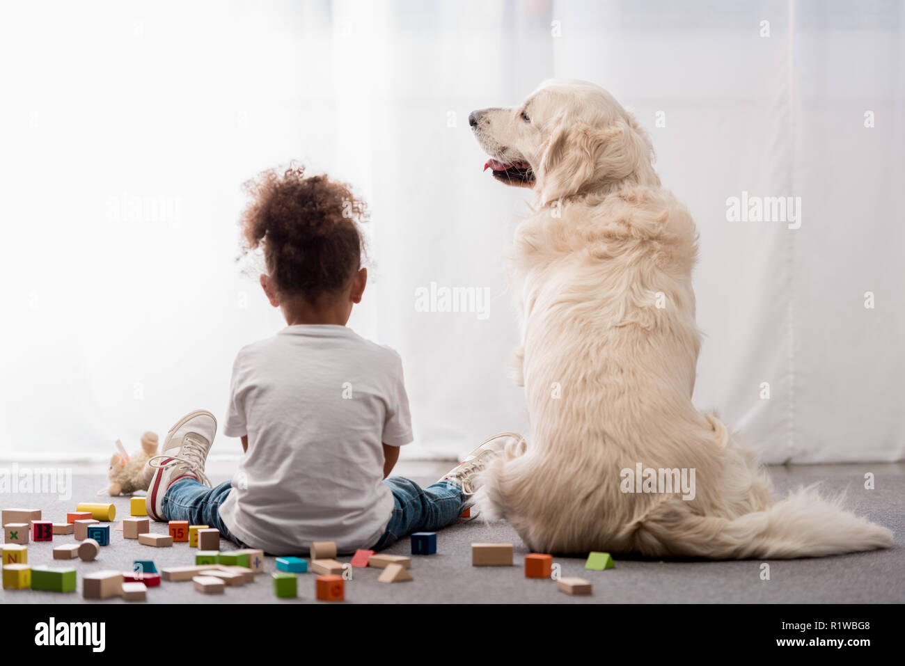 Vista posteriore del ragazzino in bianco t-shirt con Happy dog circondato da cubetti giocattolo Foto Stock