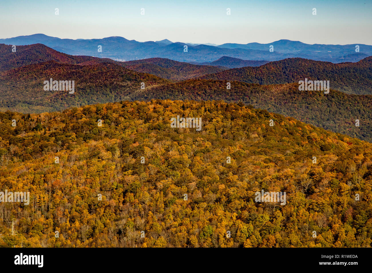 Forcella est si affacciano sul segno della forcella ad est del fiume di piccione in Blue Ridge Mountains in autunno a Asheville Carolina del Nord Foto Stock