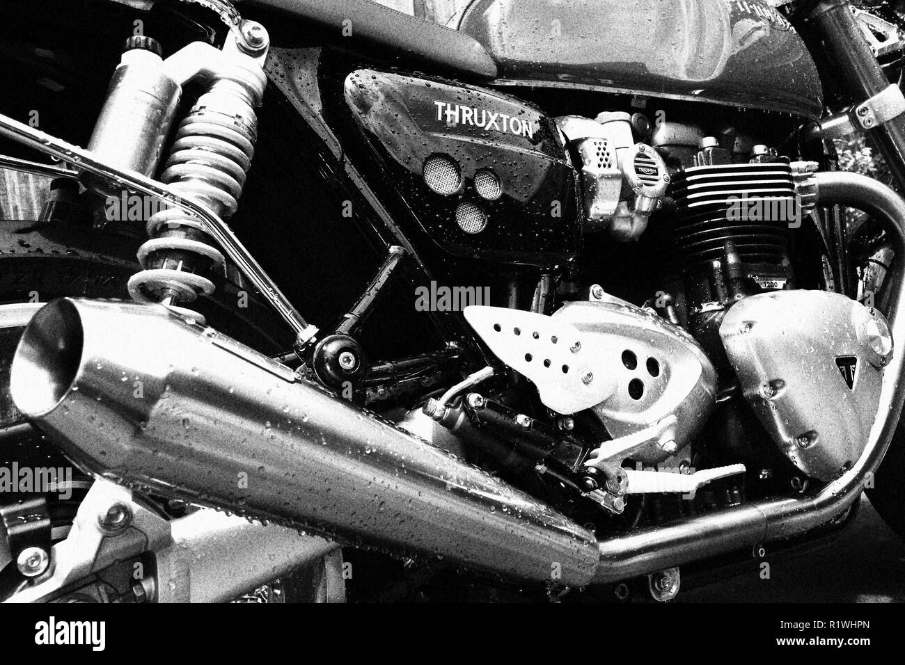 Trionfo di Thruxton motociclo Foto Stock