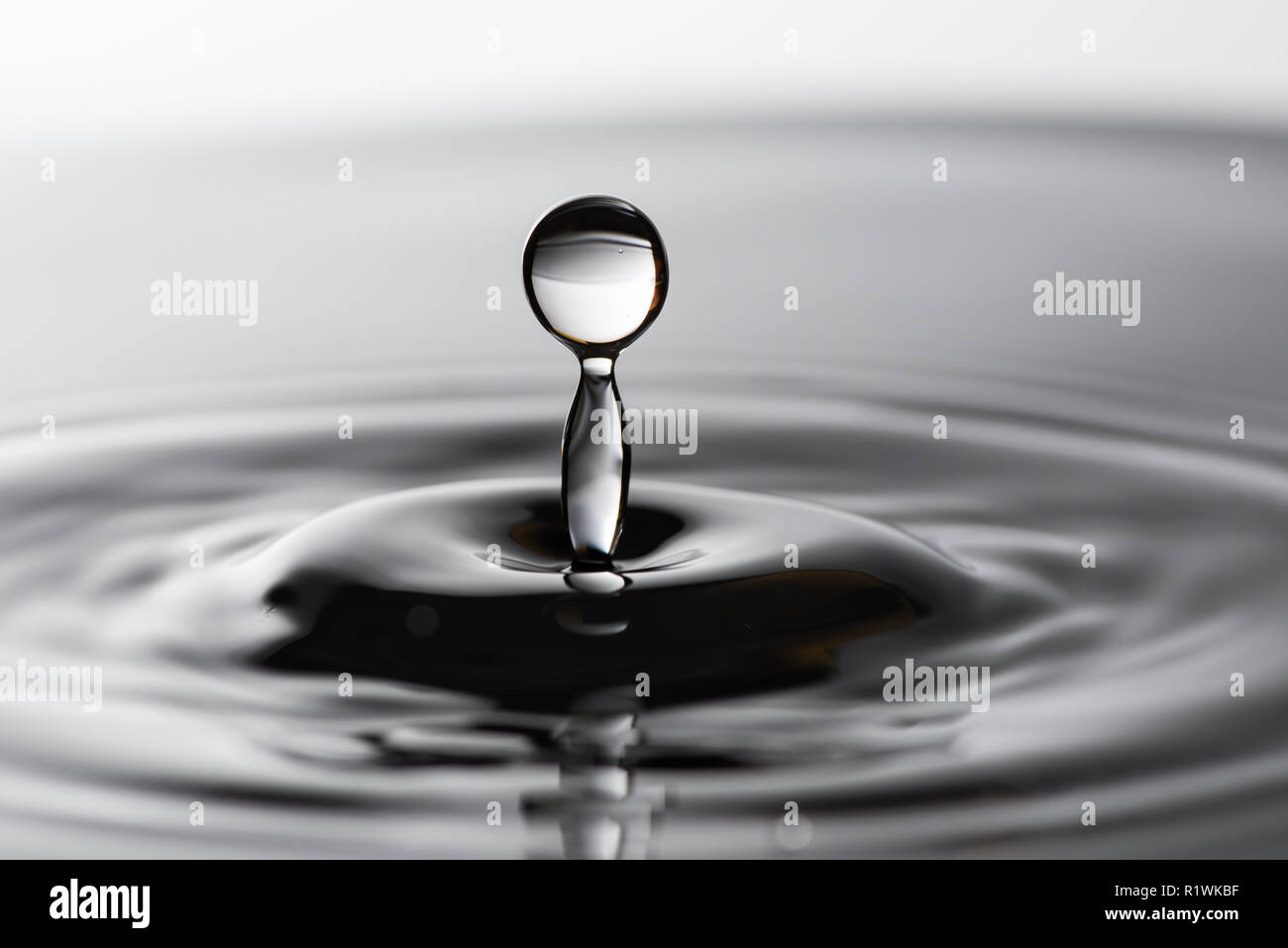 Acqua goccia caduta in acqua facendo a cerchi concentrici Foto Stock