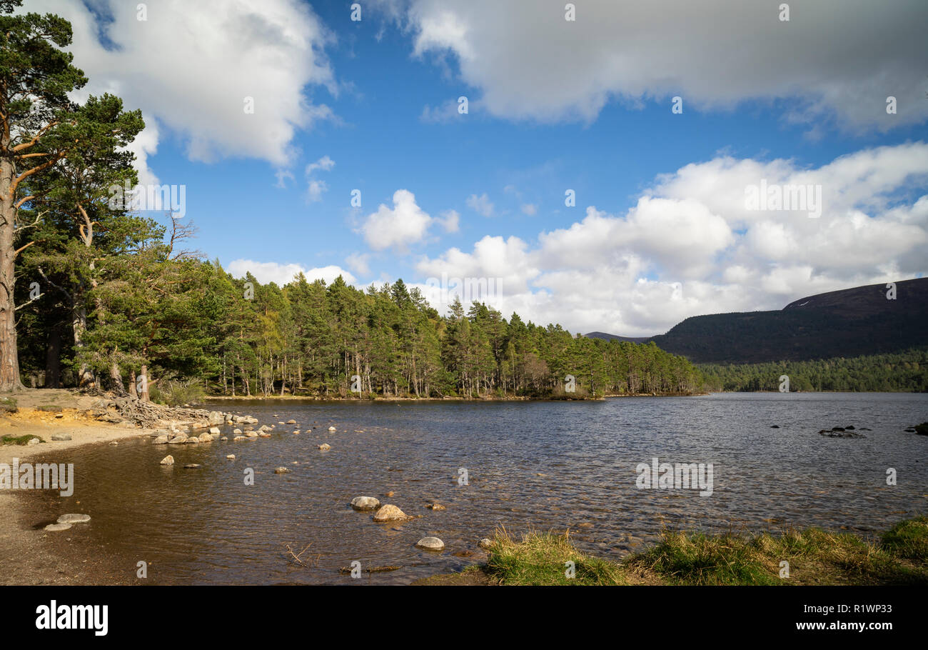 Loch un Eilein nel Parco Nazionale di Cairngorms della Scozia. Foto Stock