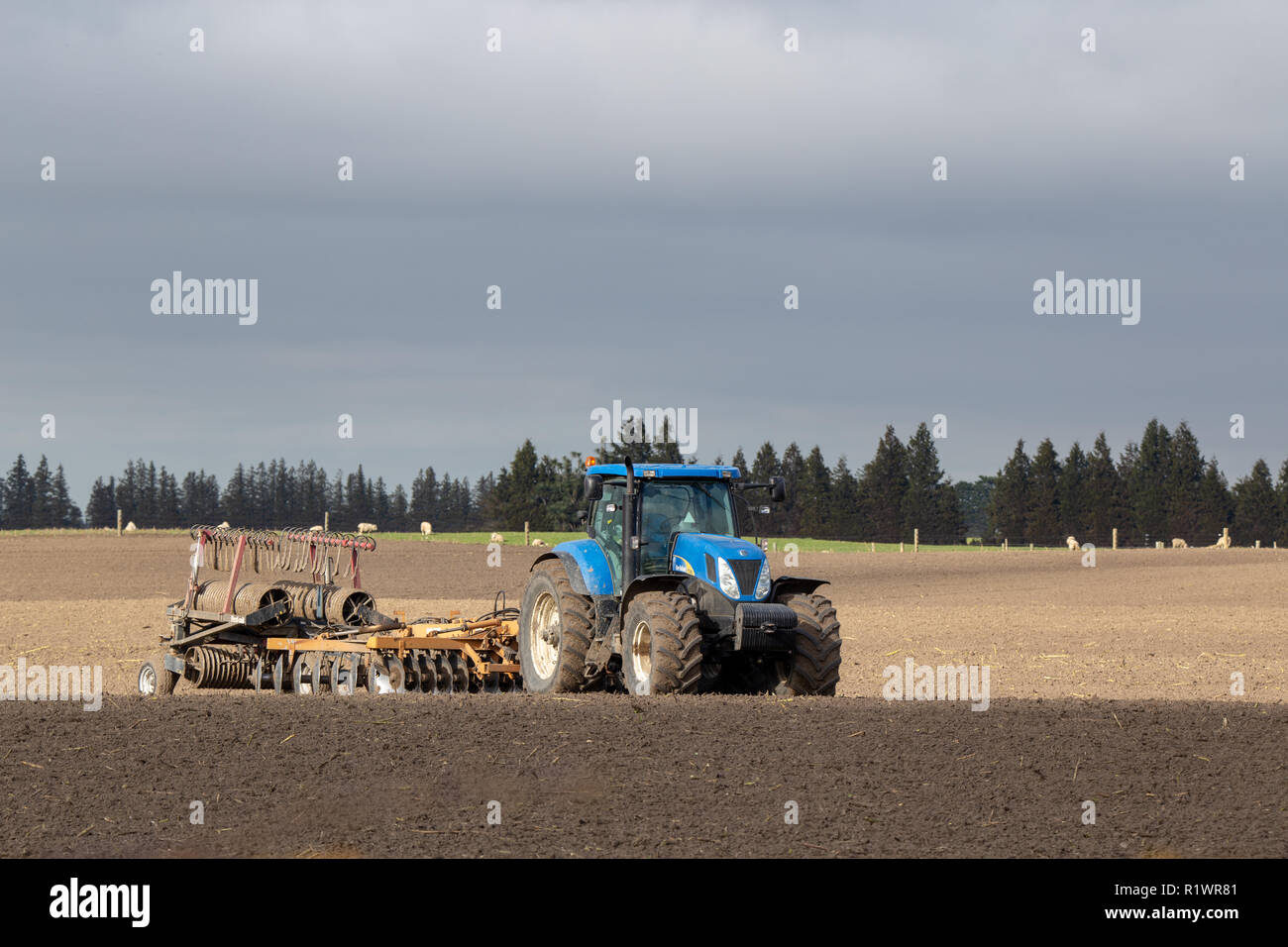 Un trattore blu al lavoro con un aratro in un campo di fattoria in primavera per la preparazione per la semina di una coltura in Canterbury, Nuova Zelanda Foto Stock