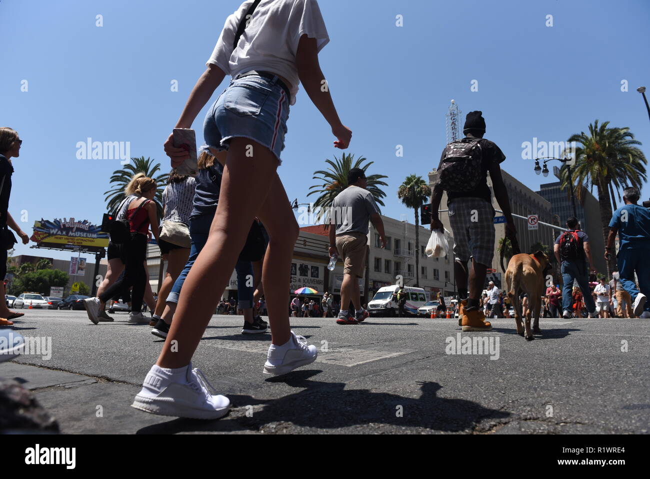 HOLLYWOOD - 7 Agosto 2018: le persone che attraversano la strada da angolo basso punto di vista su Hollywood Blvd in Hollywood, CA. Foto Stock