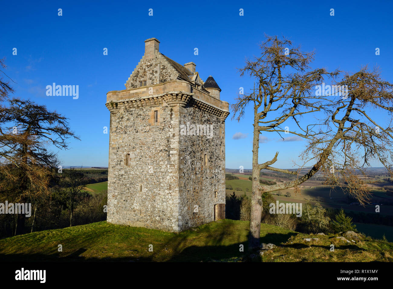 Fatlips castello in cima Minto falesie nei pressi del villaggio di Denholm nei confini scozzesi Foto Stock