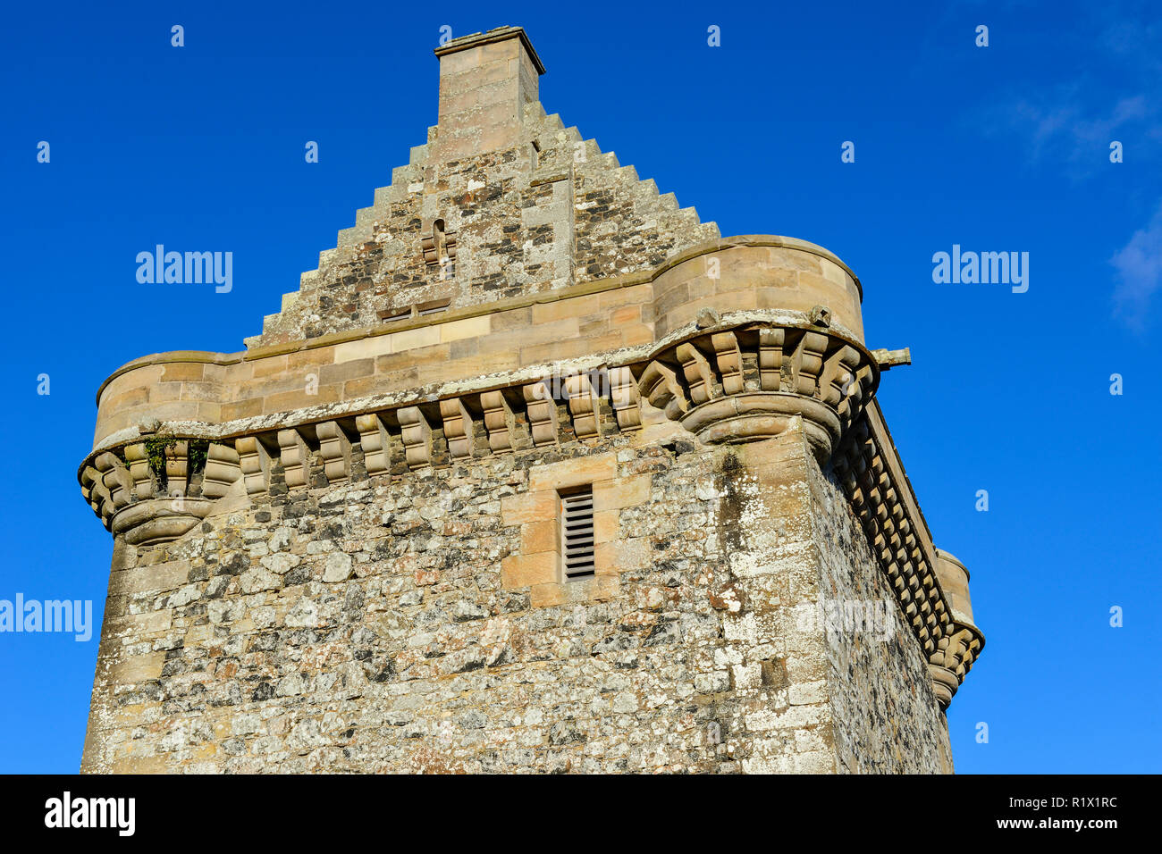 I merli del Castello Fatlips in cima Minto falesie nei pressi del villaggio di Denholm nei confini scozzesi Foto Stock