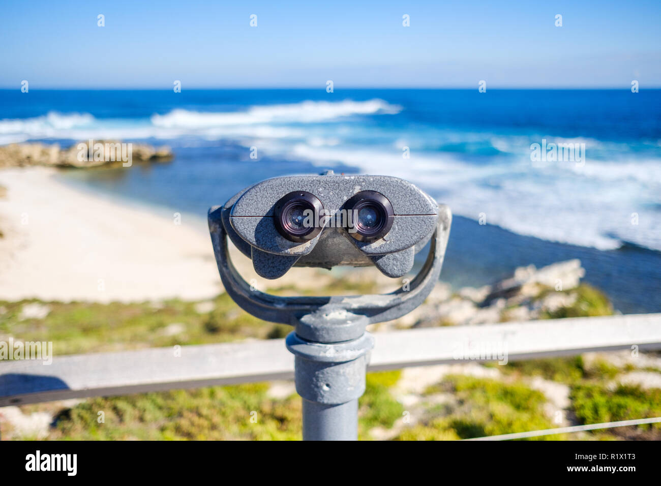Binocolo sull'Isola di Rottnest, Perth, Australia Foto Stock