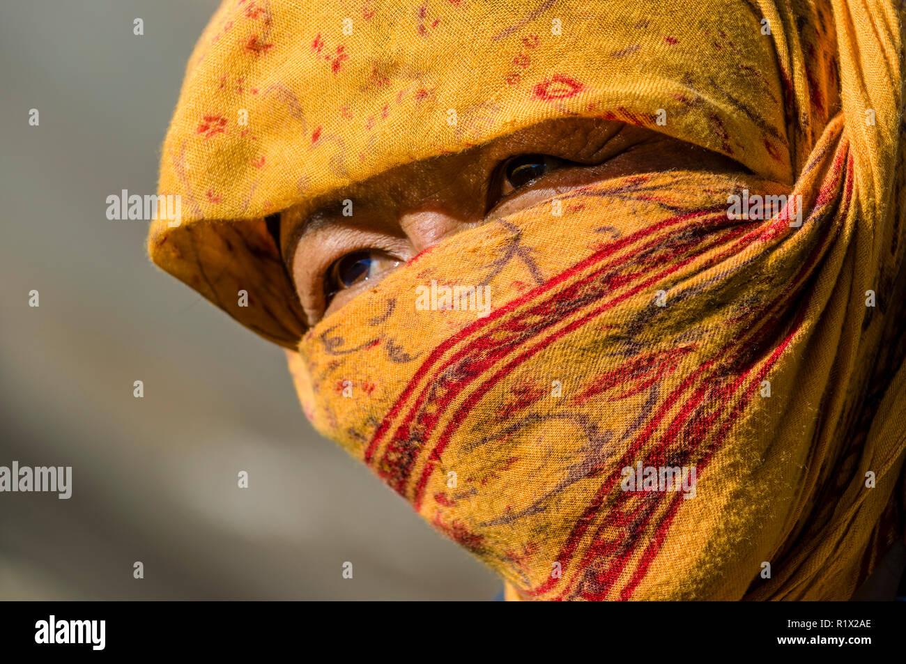 Un ritratto di una donna locale lavora su un campo in alta quota della Spiti Valley, che copre il volto dalla polvere dal tessuto Foto Stock
