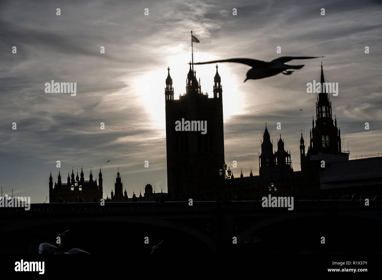Un stagliano sullo skyline di un gabbiano volare sopra le case del Parlamento, Palazzo di Westminster, Londra, Regno Unito Foto Stock