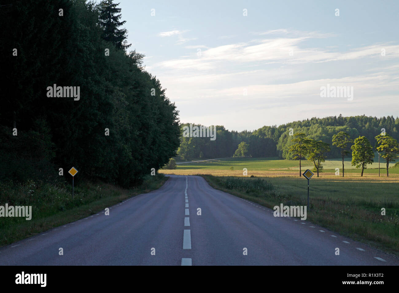 Empty road vicino al bosco in Svezia Foto Stock