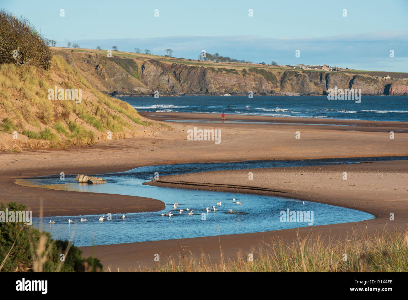 Lunan Serpenti di acqua di mare del Nord bisecante Lunan Bay beach, Angus, Scozia. Foto Stock