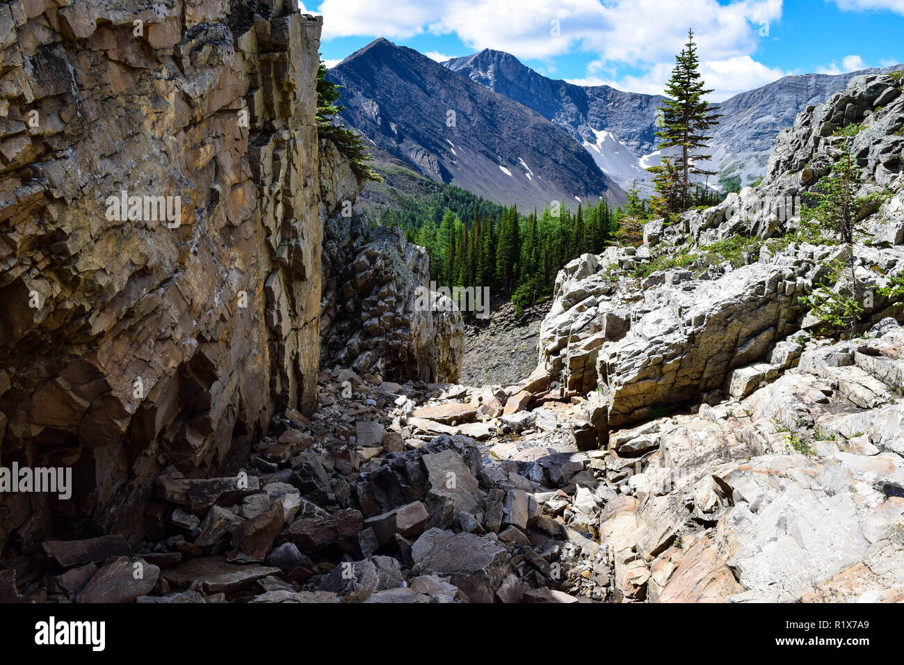 Scene della Ptarmigan Cirque trail Foto Stock