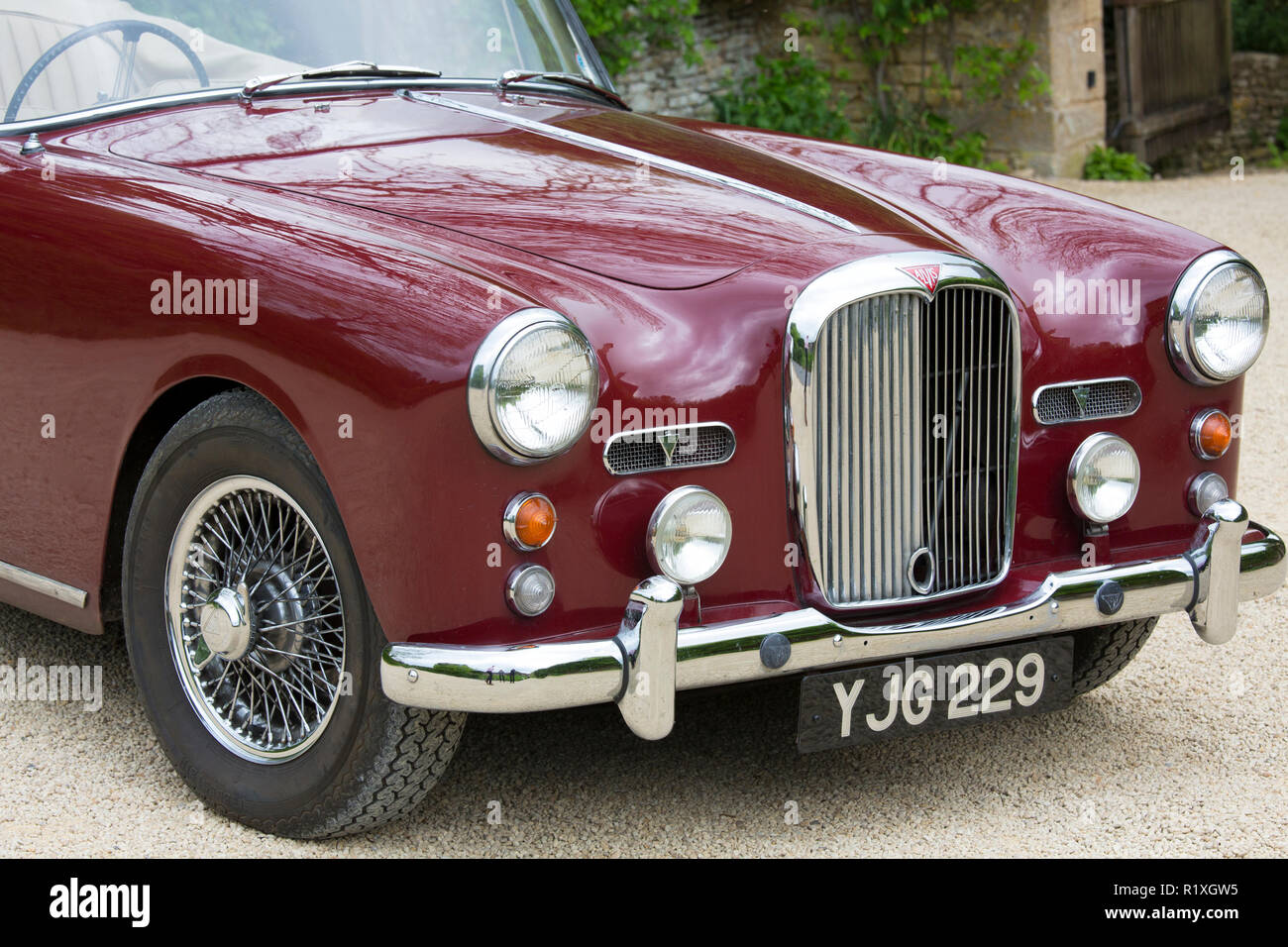 British Alvis TD21 serie DHC 1 drophead coupe auto classica Peonia close up paraurti anteriore, parafango, fari, griglia del radiatore, il cofano motore e il cofano, Foto Stock