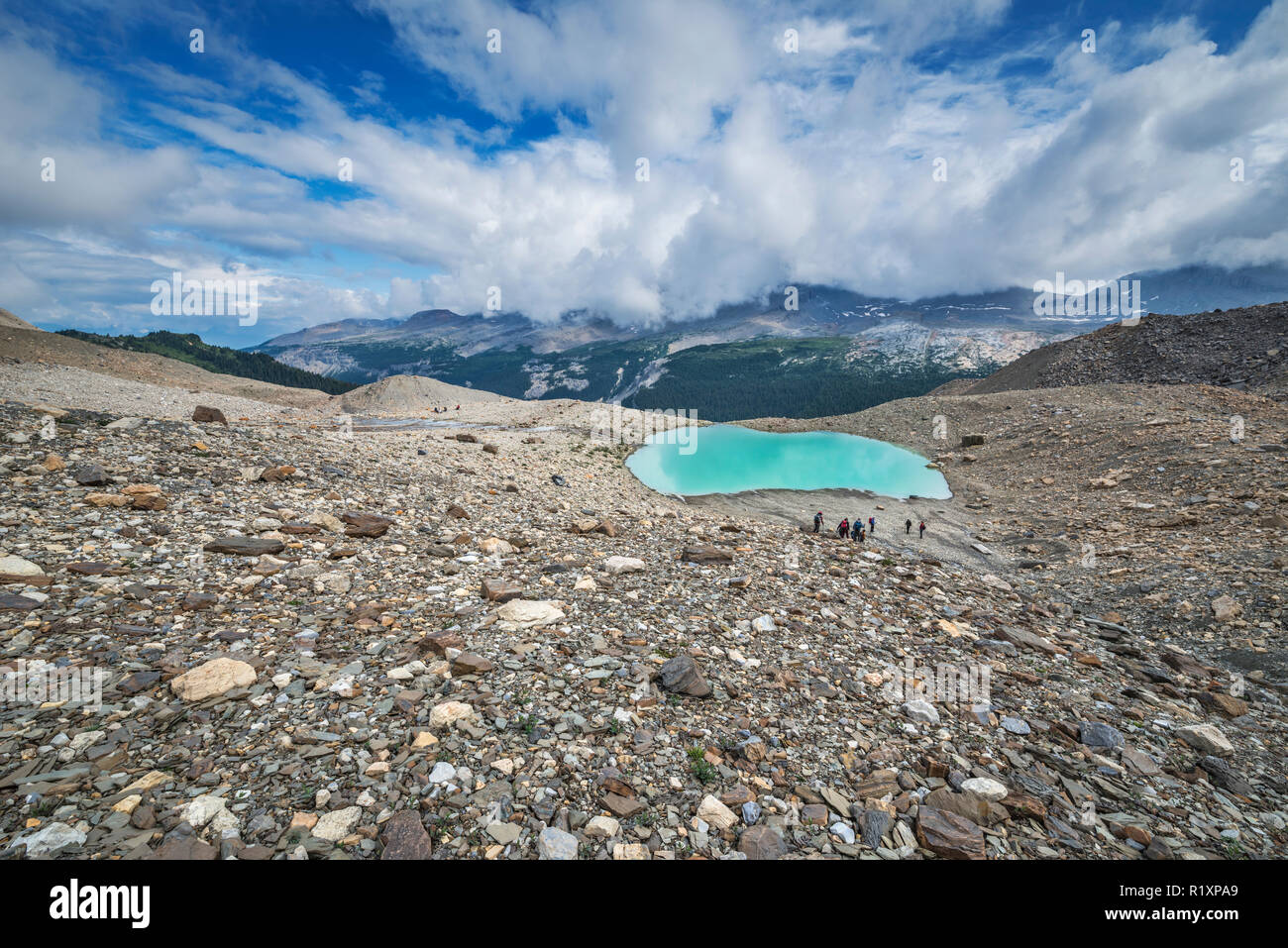 Wildcat Creek Valley (British Columbia, Canada Canadian Rovky) Foto Stock