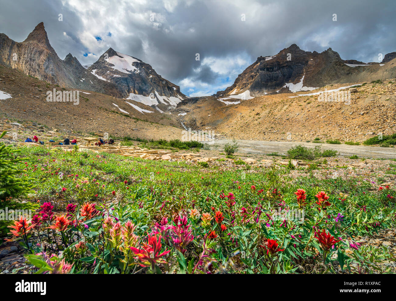 Wildcat Creek Valley (British Columbia, Canada Canadian Rovky) Foto Stock