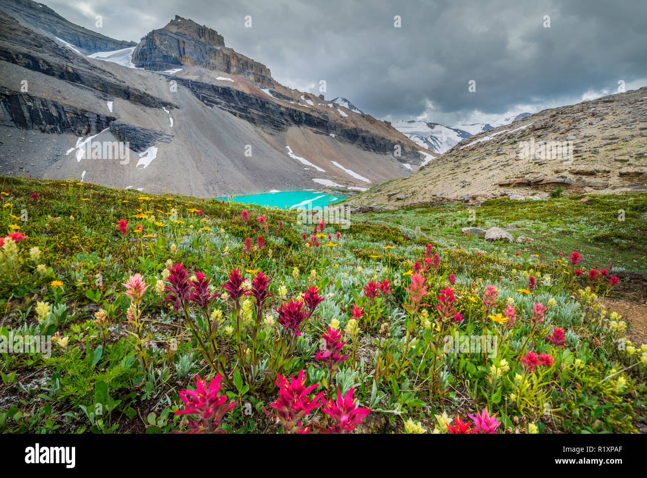 Mistaya Mountain (Wildcat Creek Valley, British Columbia, Canada Canadian Rovky) Foto Stock