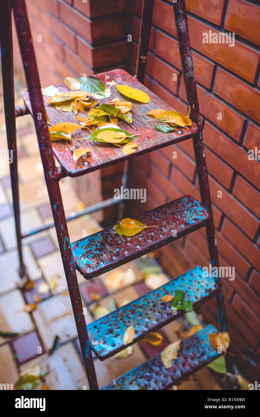 Foglie di autunno sul giardino scala di metallo. Autunno sfondo. Foto Stock