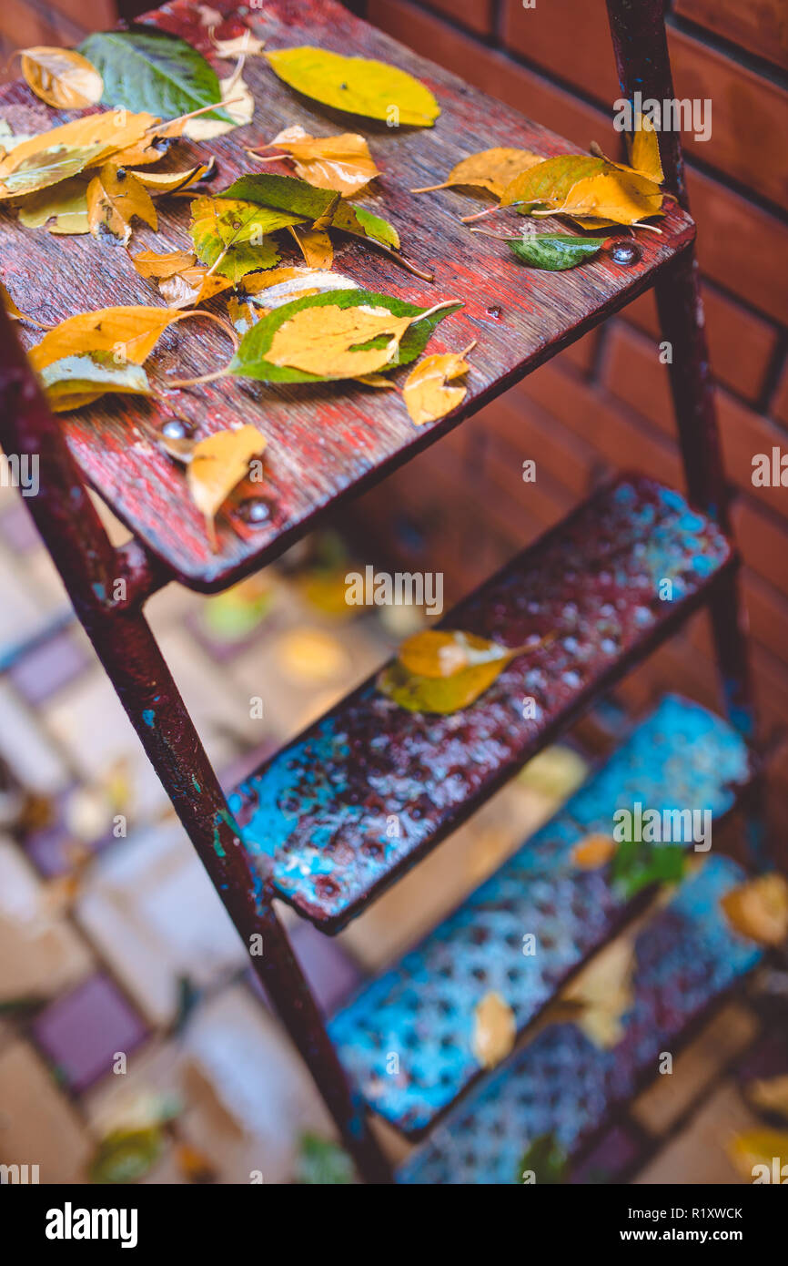Foglie di autunno sul giardino scala di metallo. Autunno sfondo. Foto Stock