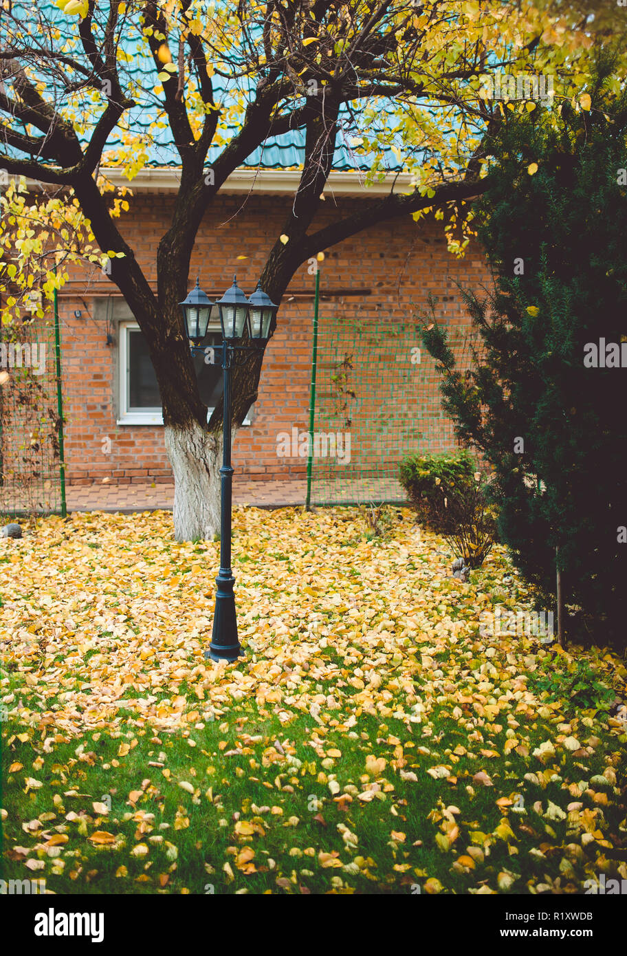 Il prato nel cortile di una casa privata è coperto con fogliame di autunno. Giardino lanterna adorna la parte centrale del cortile Foto Stock