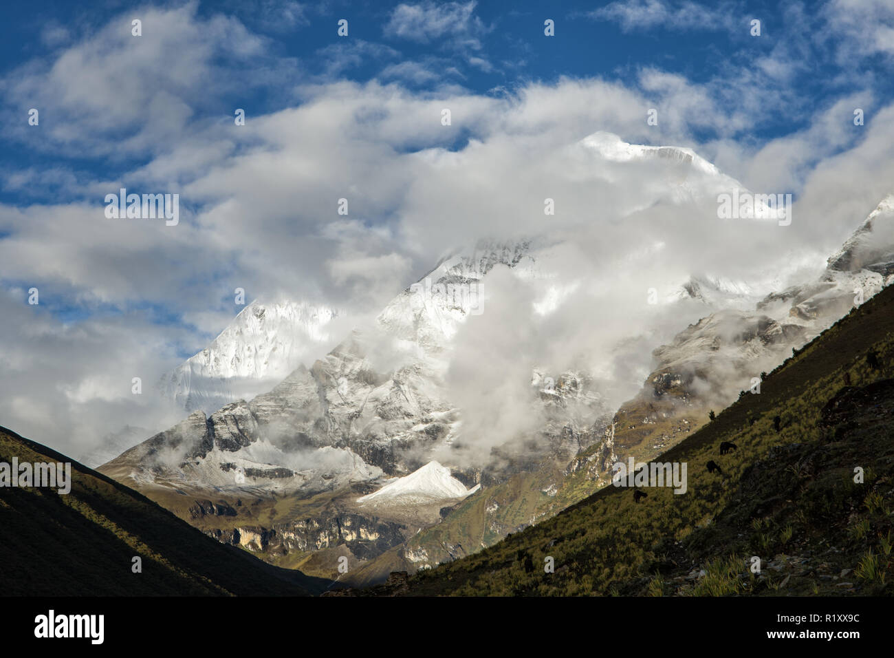 Tserim Kang e Jichu Drake da Chebisa, Thimphu distretto, Snowman Trek, Bhutan Foto Stock