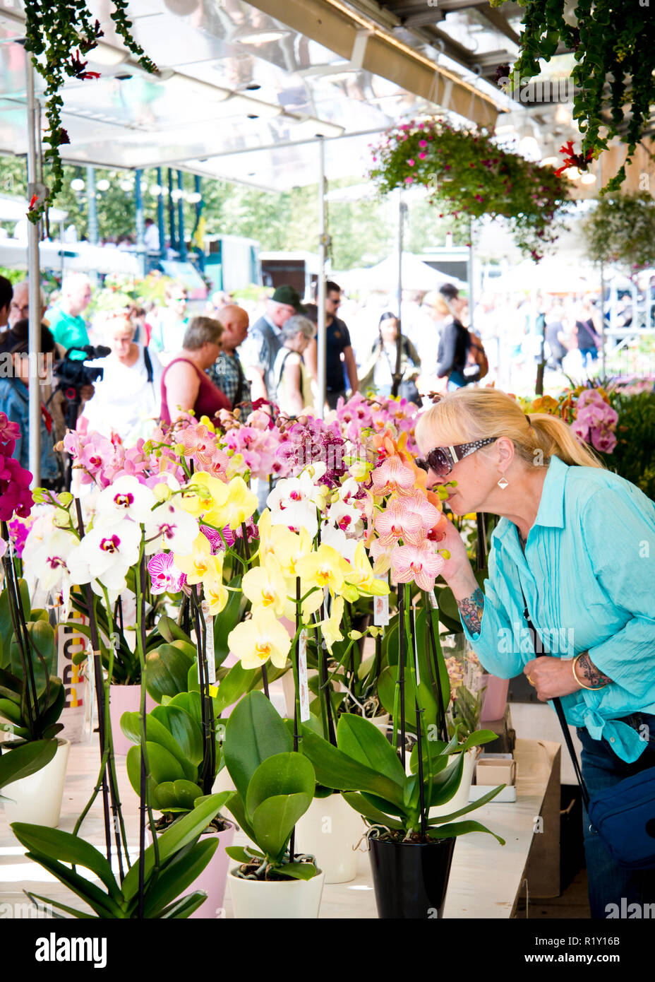 donna di mezza età che odora orchidea nel mercato dei fiori pieno di persone alla ricerca di giardino, piante, Gand, mercato dei fiori, Foto Stock