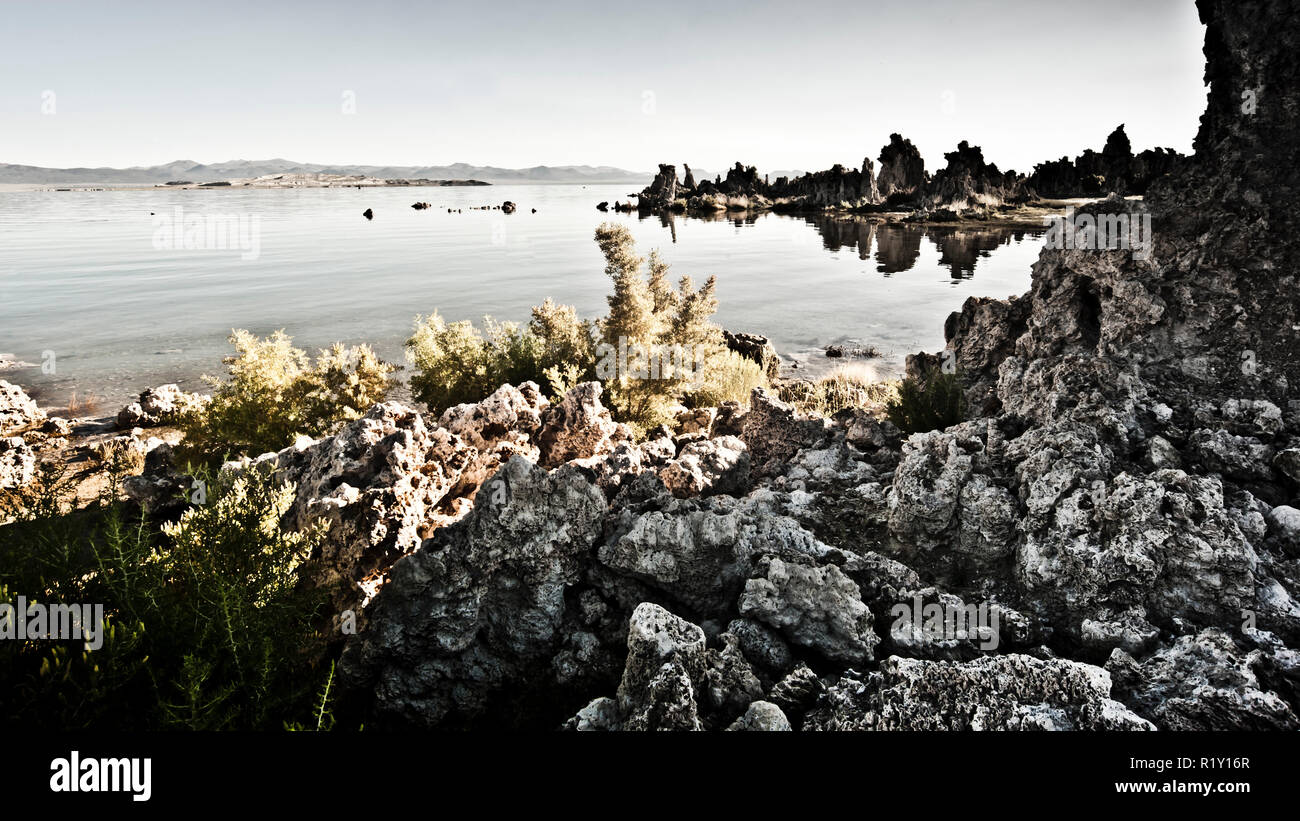 Ampia scelta di Mono Lake con guglie di tufo di carbonato di calcio, Mono Lake, Tufa State Reserve, California State, Stati Uniti Foto Stock