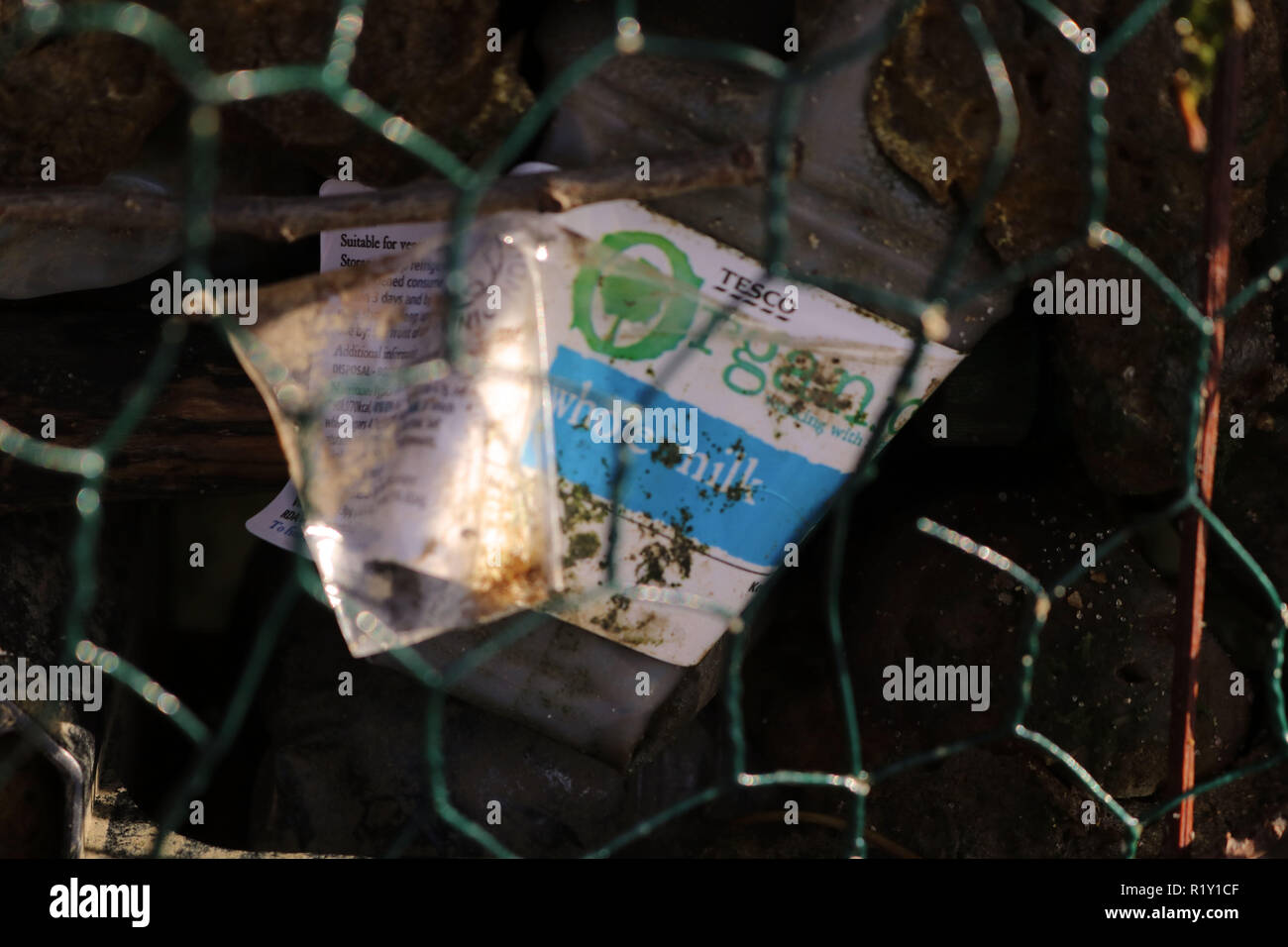 Latte in plastica bottiglia trovato nel fiume Tamigi per mostrare l'uso elevato di plastica utilizzata nell'ambiente, girato dietro il filo verde. Foto Stock