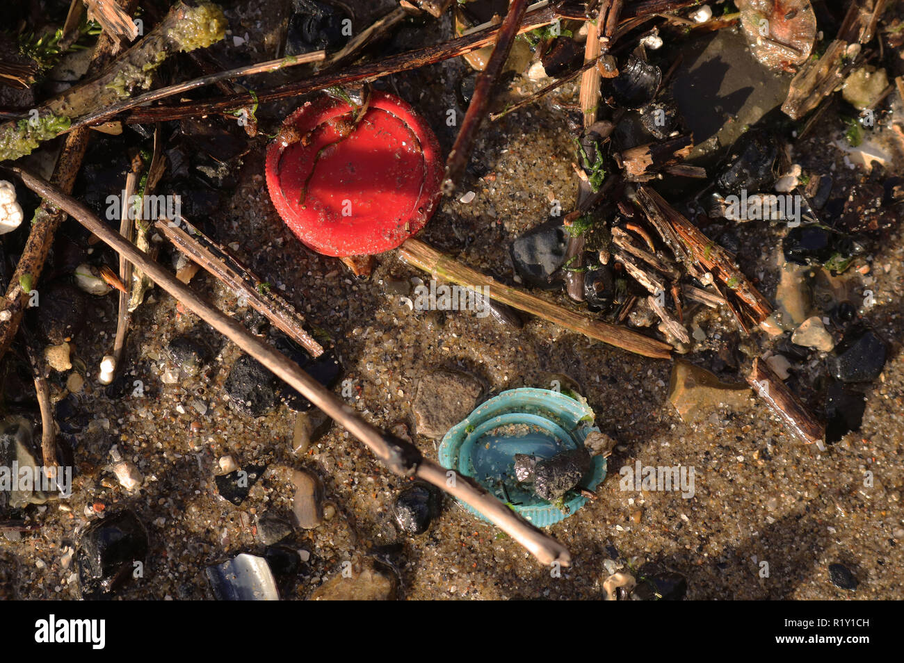 La bottiglia di plastica tops trovato nel fiume Tamigi per mostrare l'uso elevato di plastica utilizzata nell'ambiente. Foto Stock