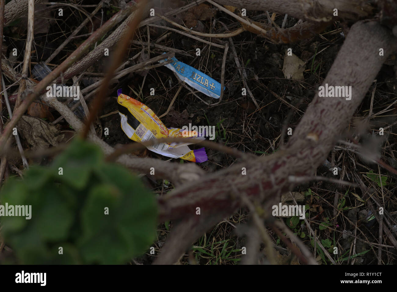 Plastica involucri alimentari trovati nell'erba dal fiume Tamigi per mostrare l'uso elevato di plastica utilizzata nell'ambiente. Foto Stock