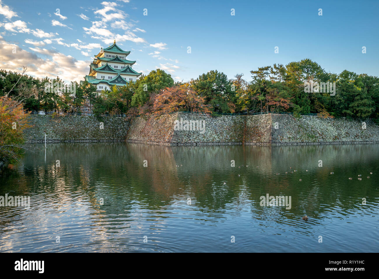 Il Castello Nagoya, un castello giapponese in Nagoya, Giappone Foto Stock