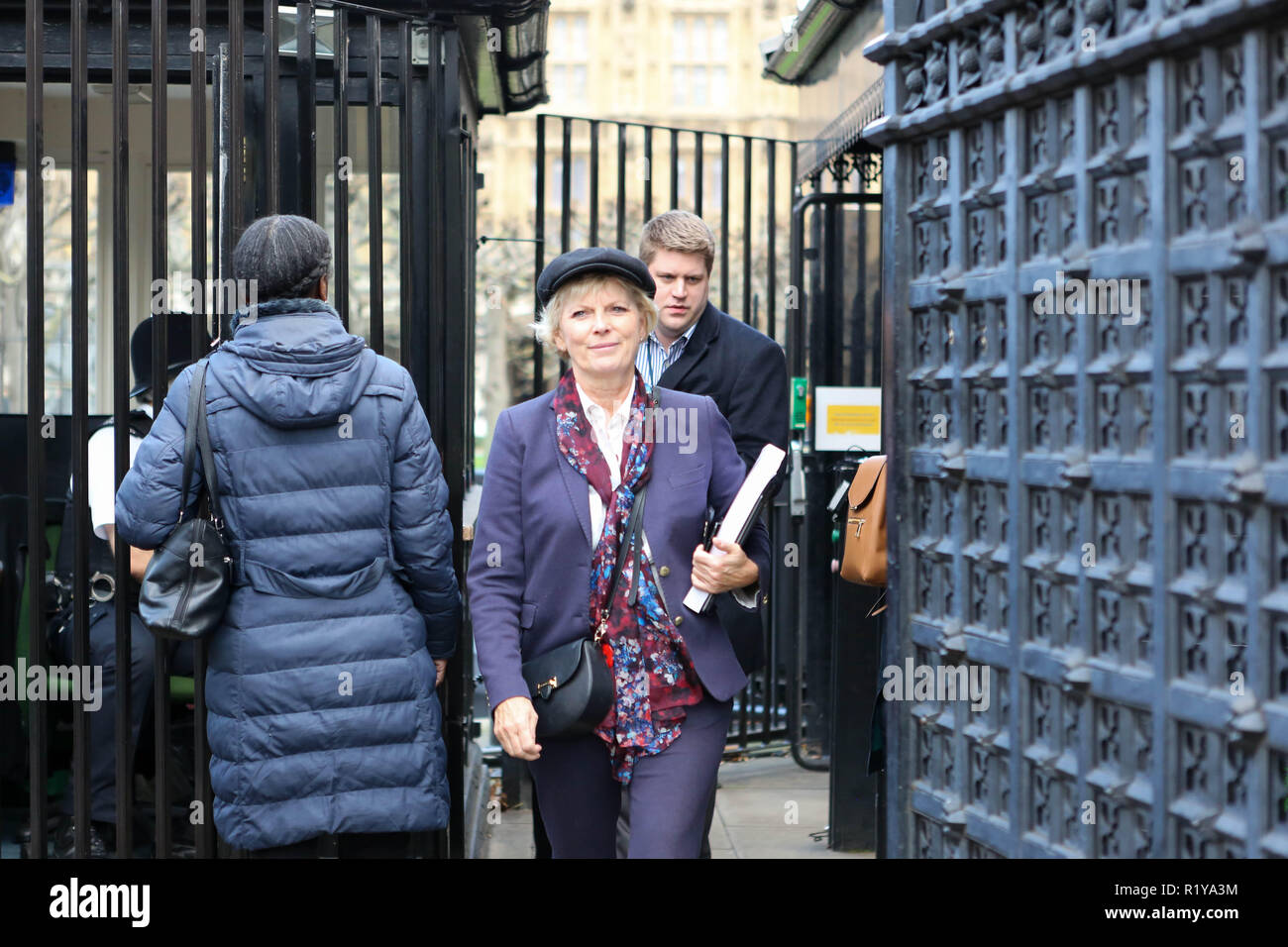 Londra, UK.XV Nov, 2018. Anna Soubry MP lascia il Parlamento, Westminster. Penelope Barritt/Alamy Live News Foto Stock