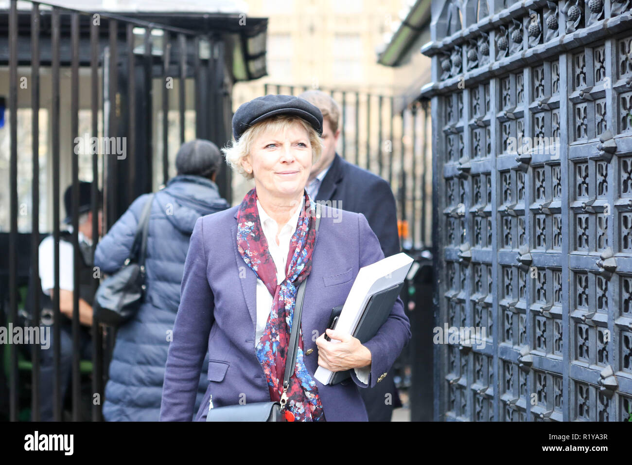 Londra, UK.XV Nov, 2018. Anna Soubry MP lascia il Parlamento, Westminster. Penelope Barritt/Alamy Live News Foto Stock