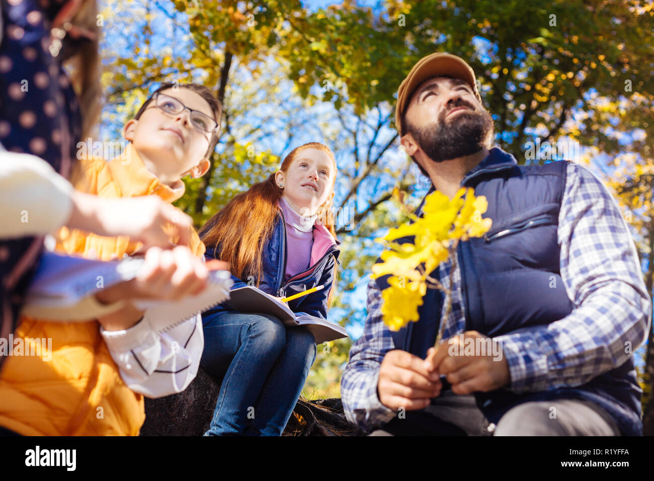 Nizza bambini piacevole guardando gli alberi di autunno Foto Stock