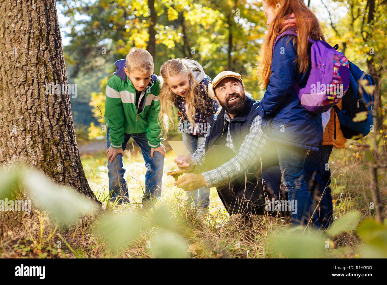 Allegro uomo positivo trovare un grosso fungo Foto Stock