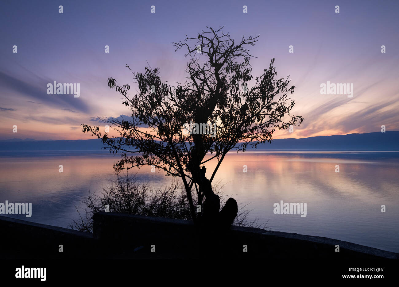 Autunno magnifico contorno di tree centrato con il tramonto cielo viola e wispy nuvole sul lago di Ohrid Macedonia , Lago di Piana effetto dalla lunga esposizione Foto Stock