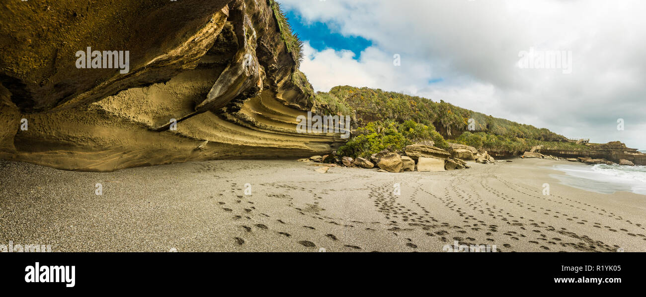 Wild Rupi costiere sulla pista di Truman, vicino a Punakaiki e Greymouth. Paparoa National Park, Nuova Zelanda Foto Stock