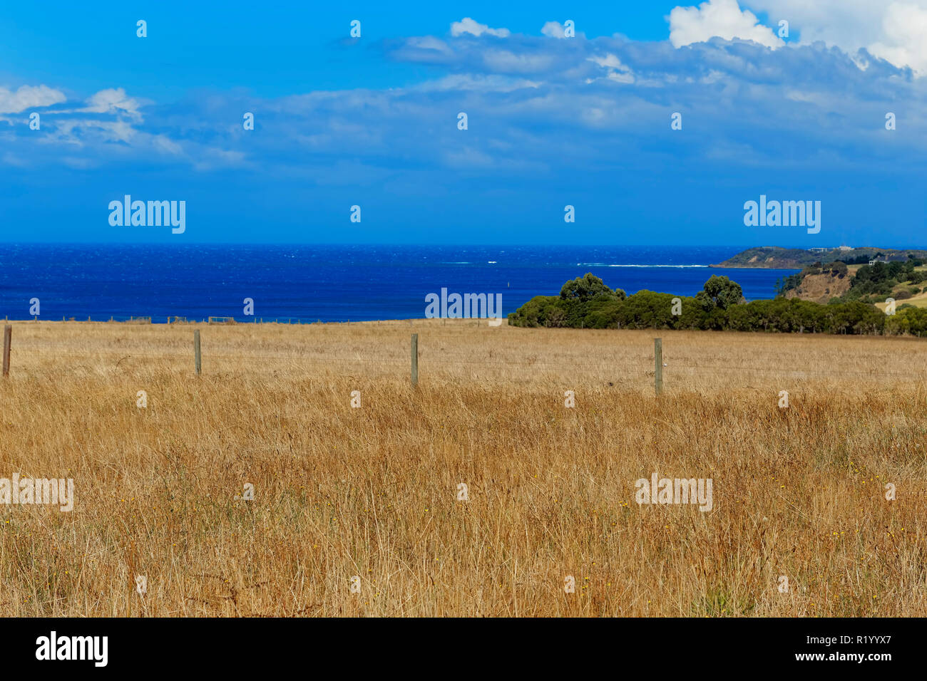 Terra pastorale, Flinders, Penisola di Mornington, Victoria, Australia Foto Stock