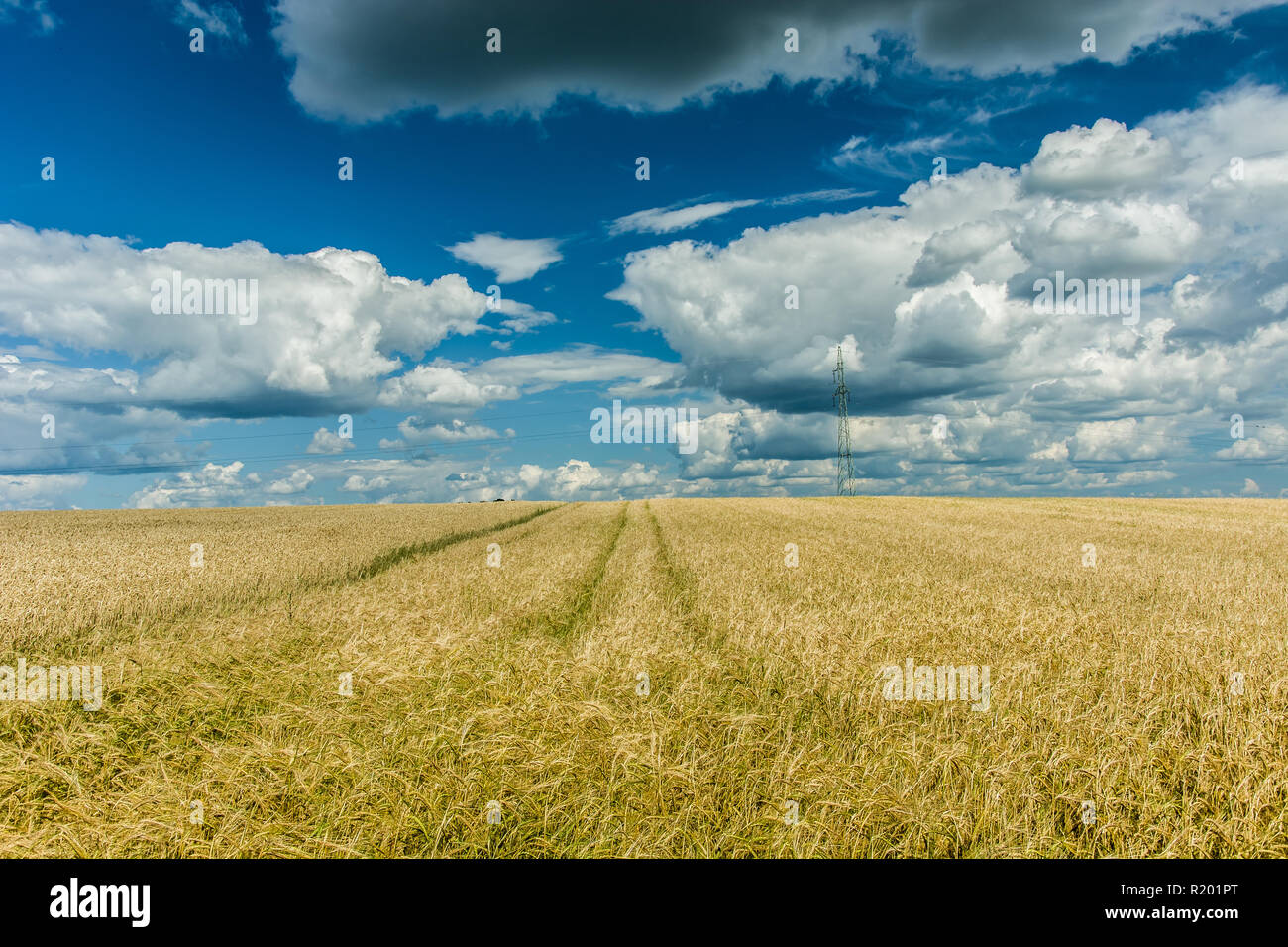 Percorso tecnologico nel campo, i trend con orizzonte di riferimento e nuvole nel cielo Foto Stock