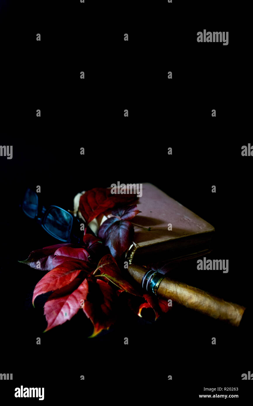 Autunno cadono le foglie, relax serale la lettura di un libro e di fumare acigar. Stagionale e ancora il concetto di vita. Foto Stock