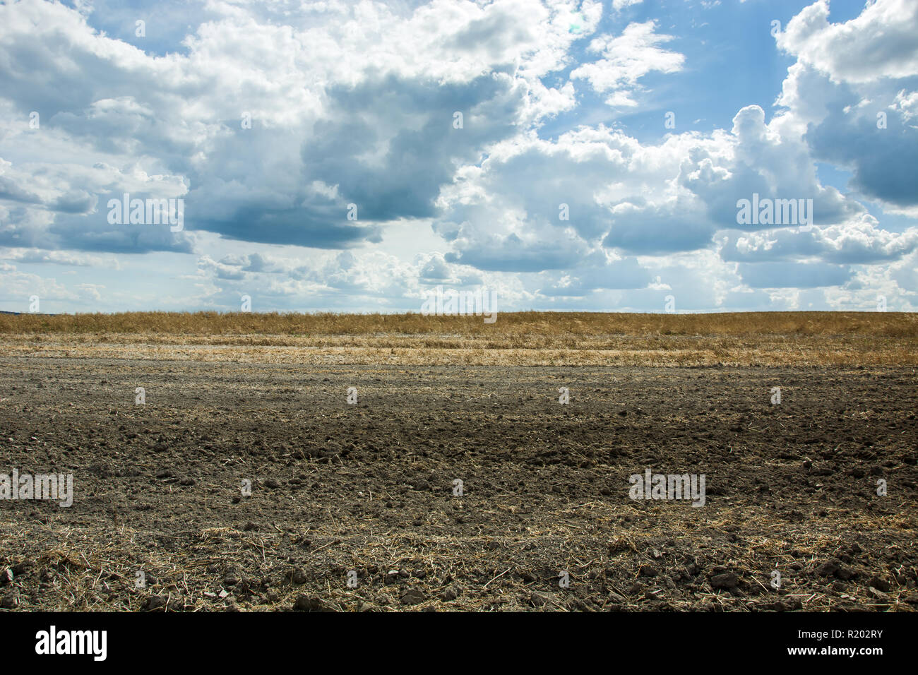 Campo Arato, orizzonte e nuvole nel cielo Foto Stock