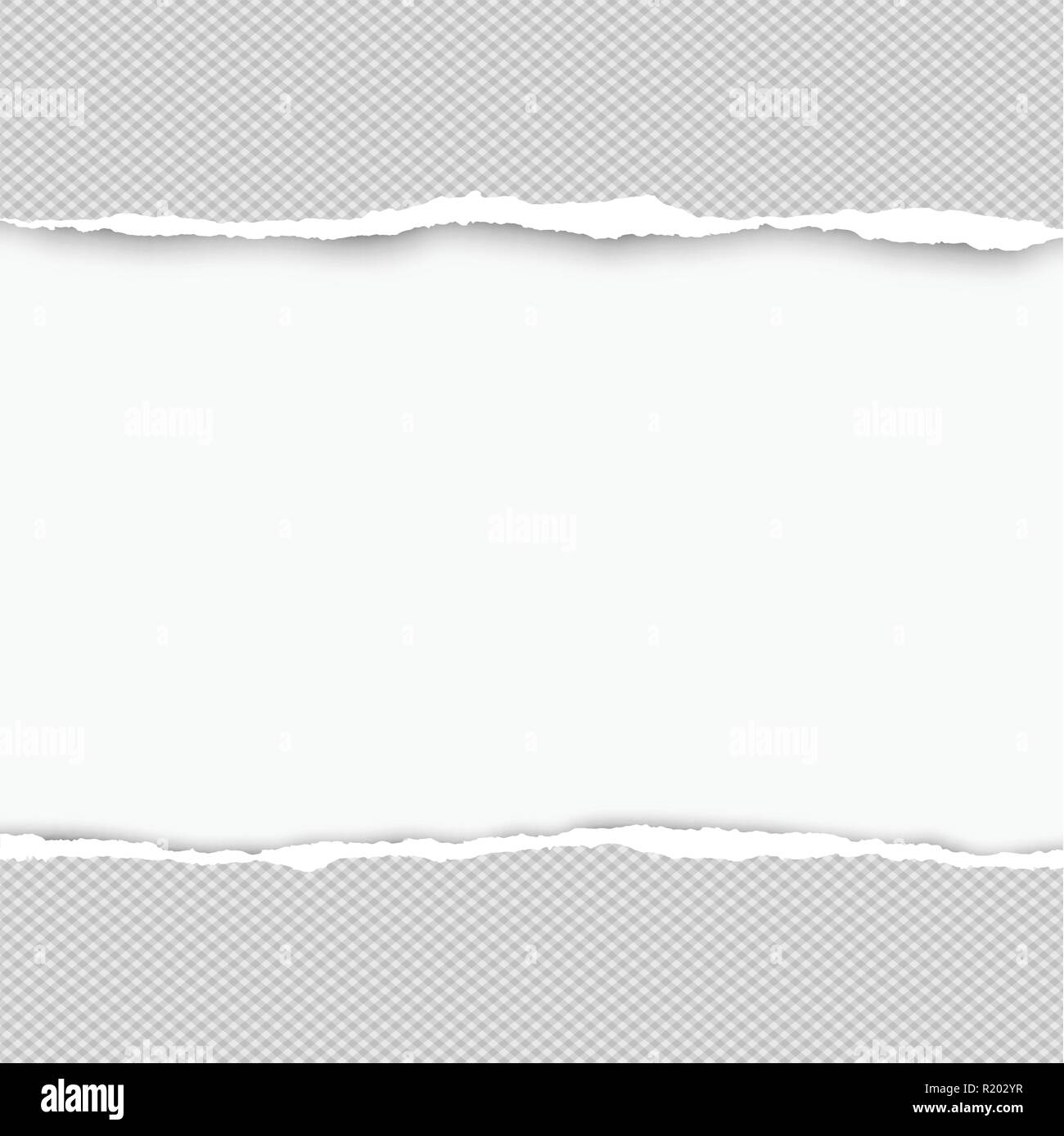 Quadrato grigio strappato carta per testo o messaggio sono su sfondo bianco. Illustrazione Vettoriale Illustrazione Vettoriale