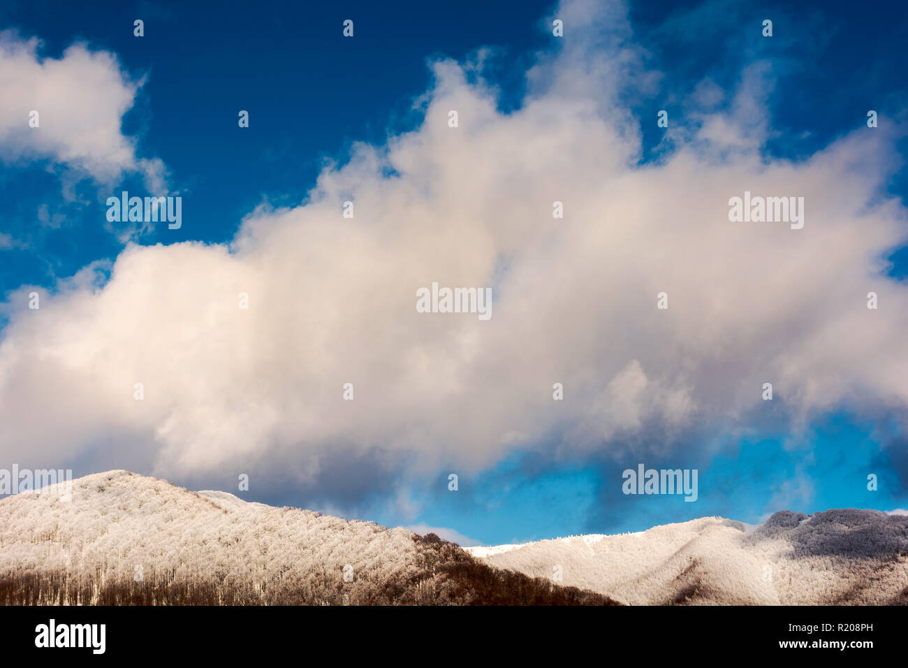 Enorme nube soffice abow la collina boschiva in neve. meravigliosa natura invernale sullo sfondo Foto Stock