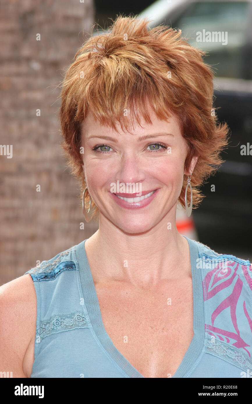 Lauren Holly 30/07/06 di aia @ ArcLight Glossari Affini Dome, Hollywood foto di Giu Matsuda/HNW / PictureLux (30 luglio 2006) Foto Stock