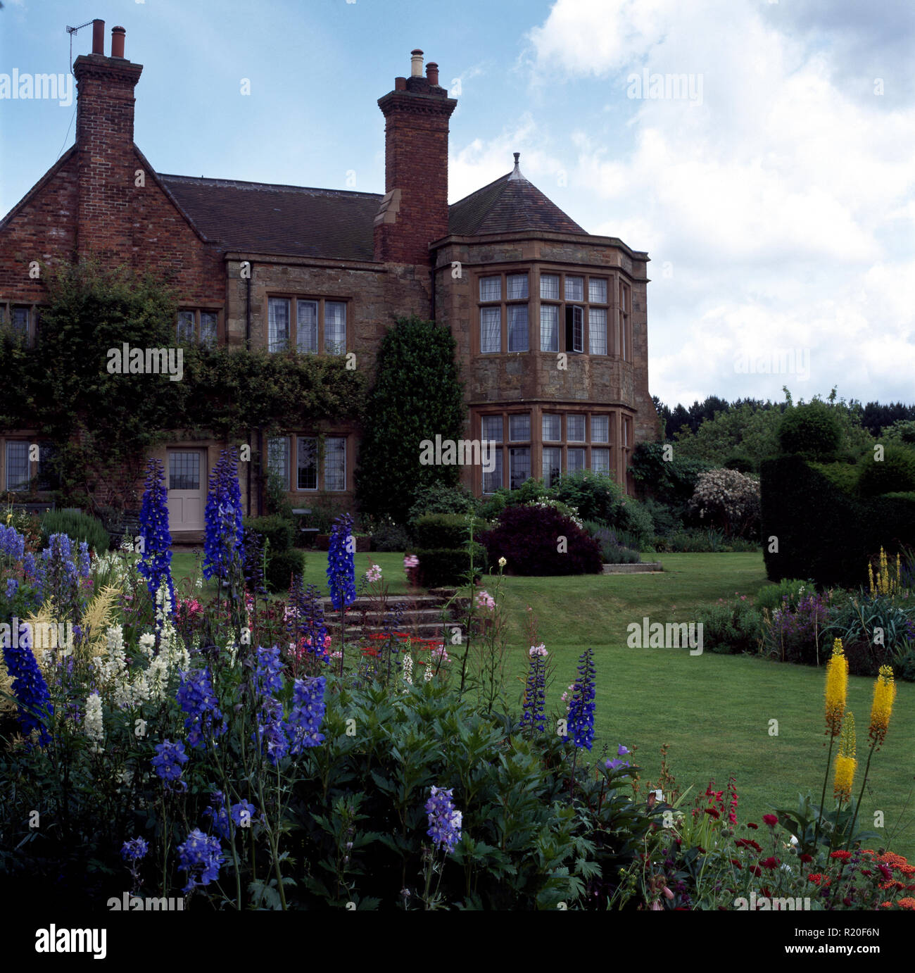 Delphiniums blu nel giardino della grande casa di paese Foto Stock
